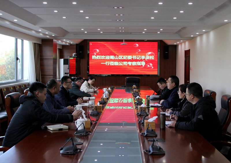 蜀山區(qū)紀委書記李慶松走訪調研公司